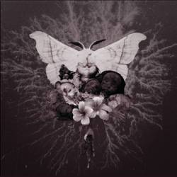 Celestial Grave : Pvtrefactio